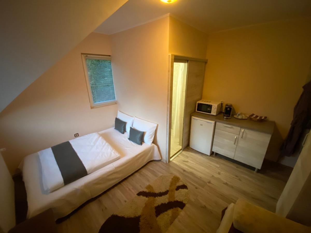 Hotel Vila Eszter à Sovata Extérieur photo