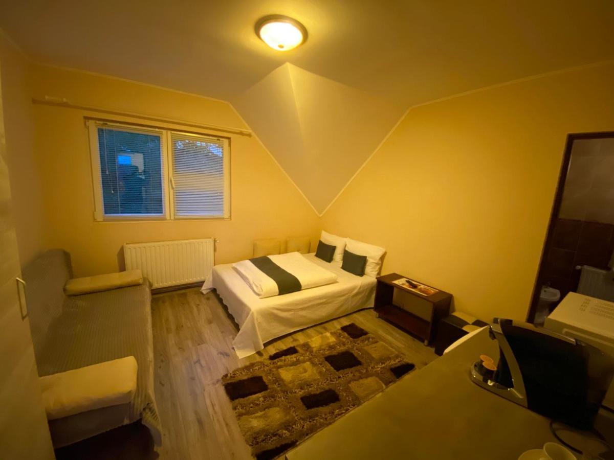Hotel Vila Eszter à Sovata Extérieur photo